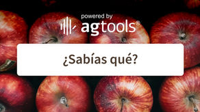 SABÍAS QUÉ... MANZANAS