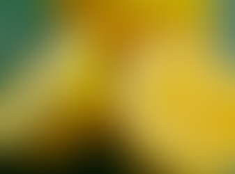 With demand still high, lemon prices stabilize