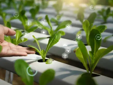 Plant Cycles Will Teach us How to Make Efficient Use of Resources.