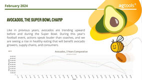 GRAPHIC: Avocados' Super Bowl season