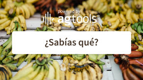 SABÍAS QUÉ... BANANA