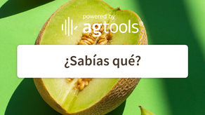 SABÍAS QUE… MELÓN