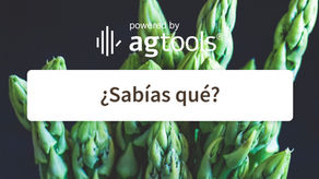 SABÍAS QUE… ESPÁRRAGO