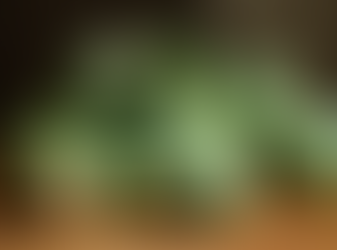 Higher Brussels sprout volume finds strong demand