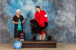 01974757-c226-72d7-876a-9b20848951f2