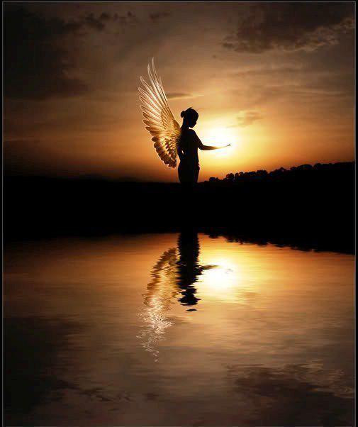 Angelwaters.jpg