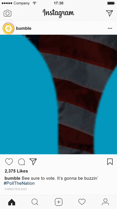 Bumble Pollthenation Instagram Video.gif