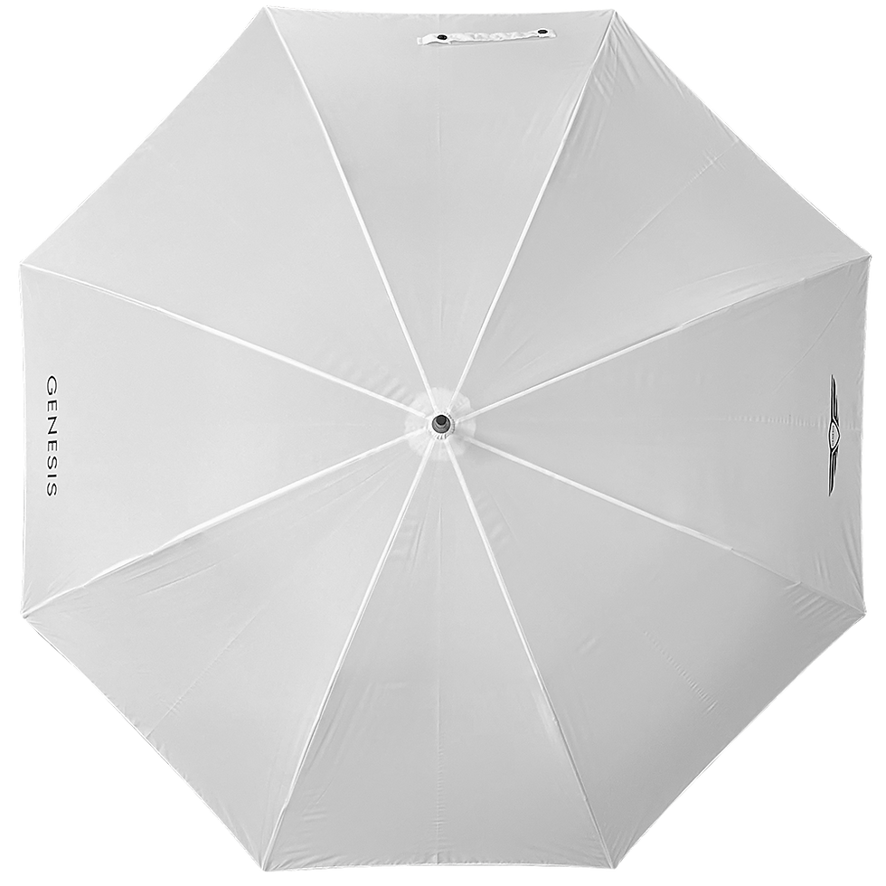 섬네일: 75CM X 8K (제네시스)