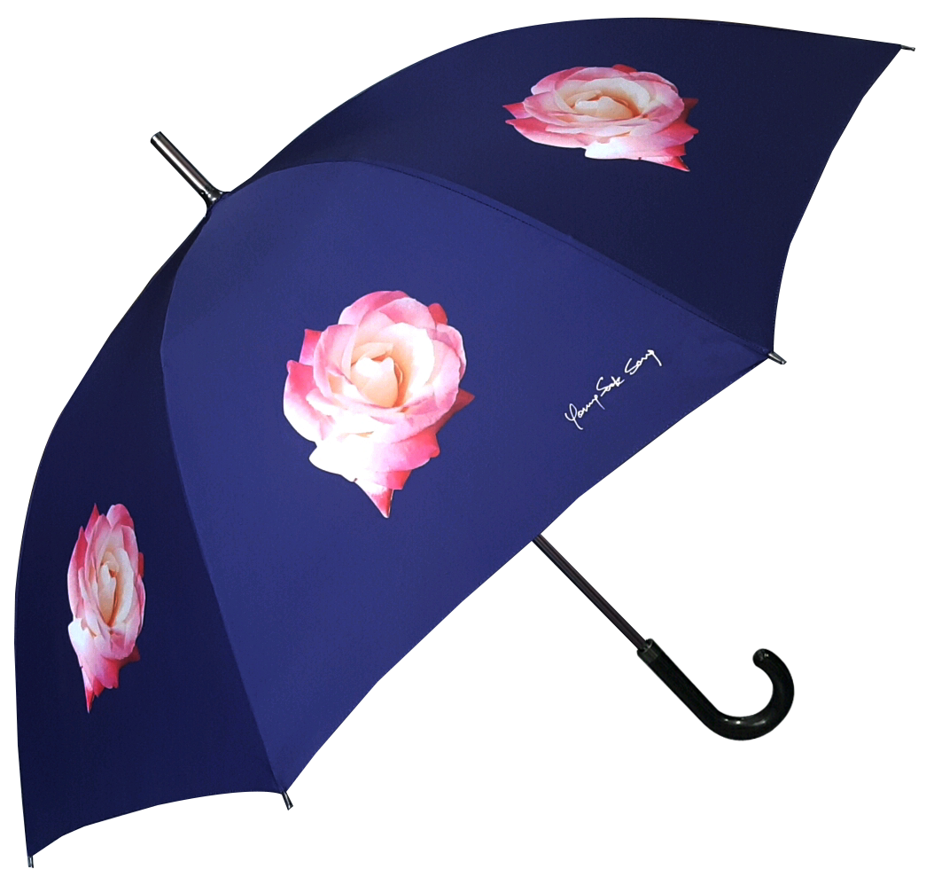 65CM X 8K (한미미술관)