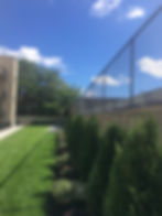 IMG_3387