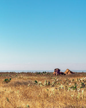 Copy of IMG_7715.jpg