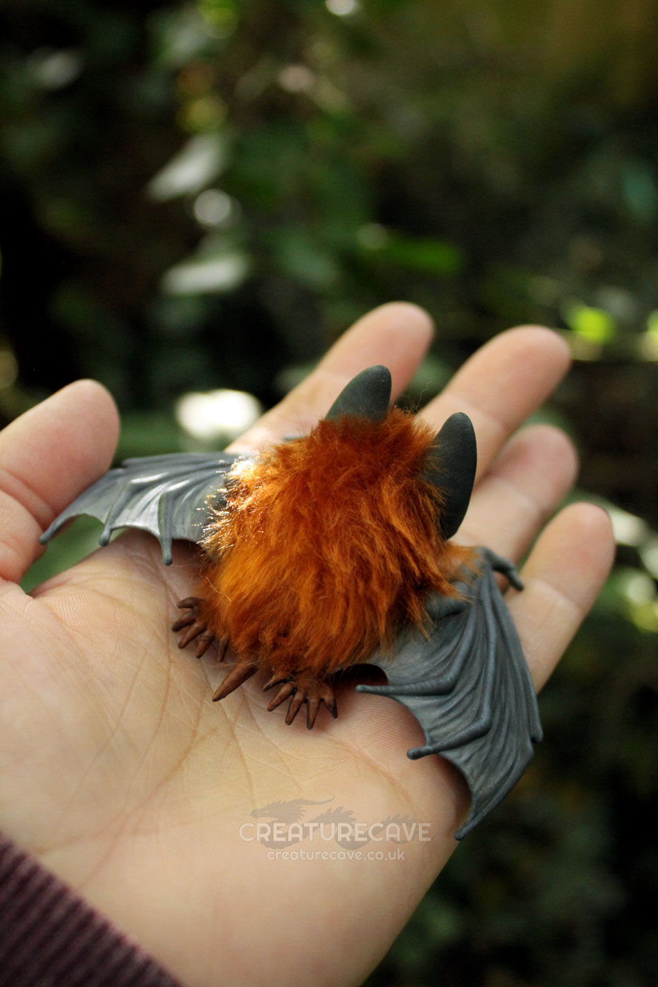 Thumbnail: Little Bat