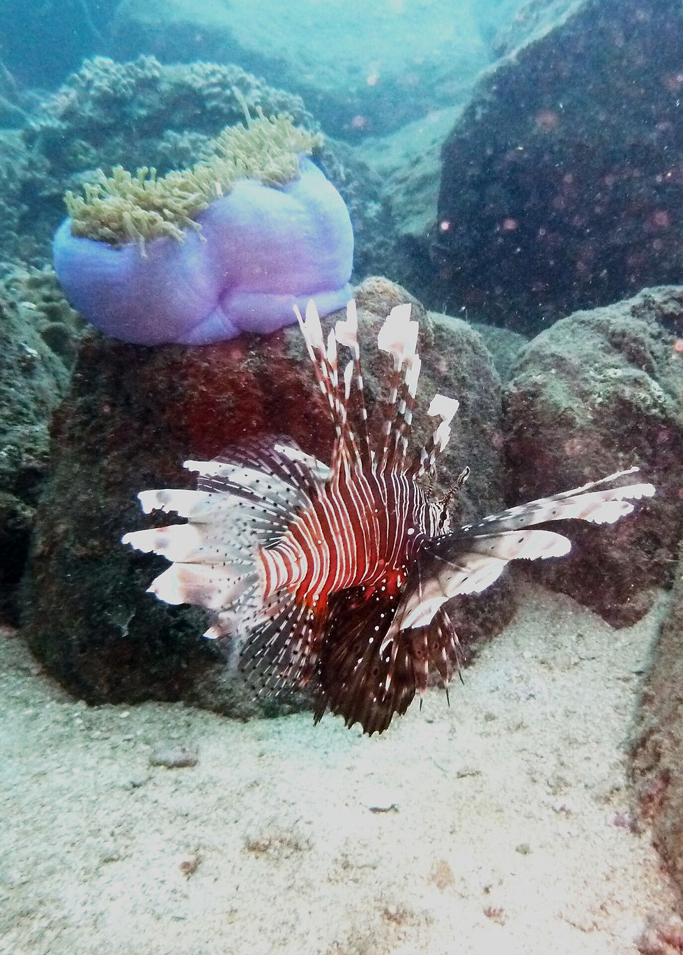 P1160877_1