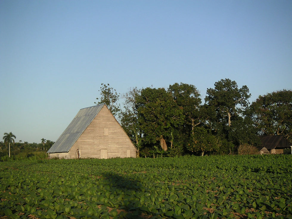 PICT0436.jpg