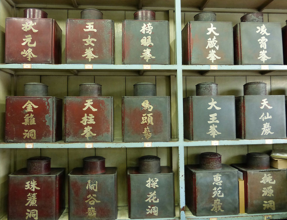 P1000181_1.jpg