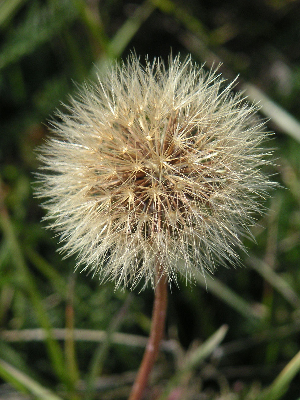 PICT0817.JPG