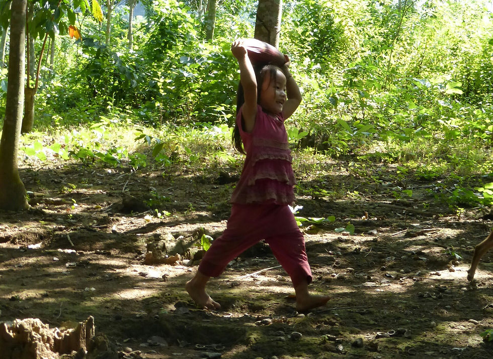 P1020620_1.jpg