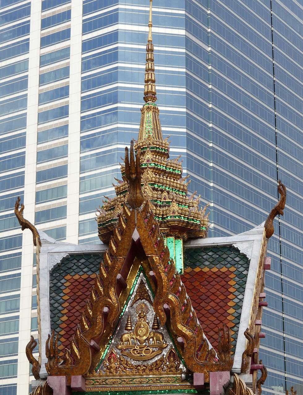 P1000009_1.jpg