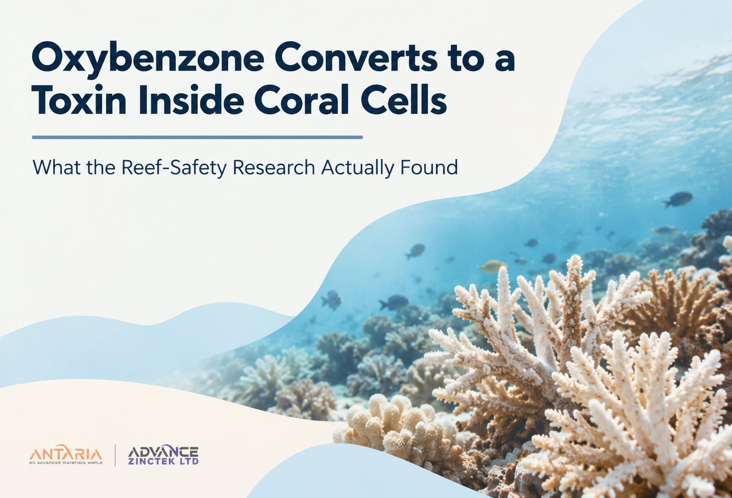 reef safe sunscreen