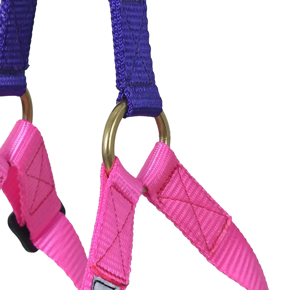Thumbnail: Step-in Harness for Puppy and dog (Hot Pink X Ultra Violet)