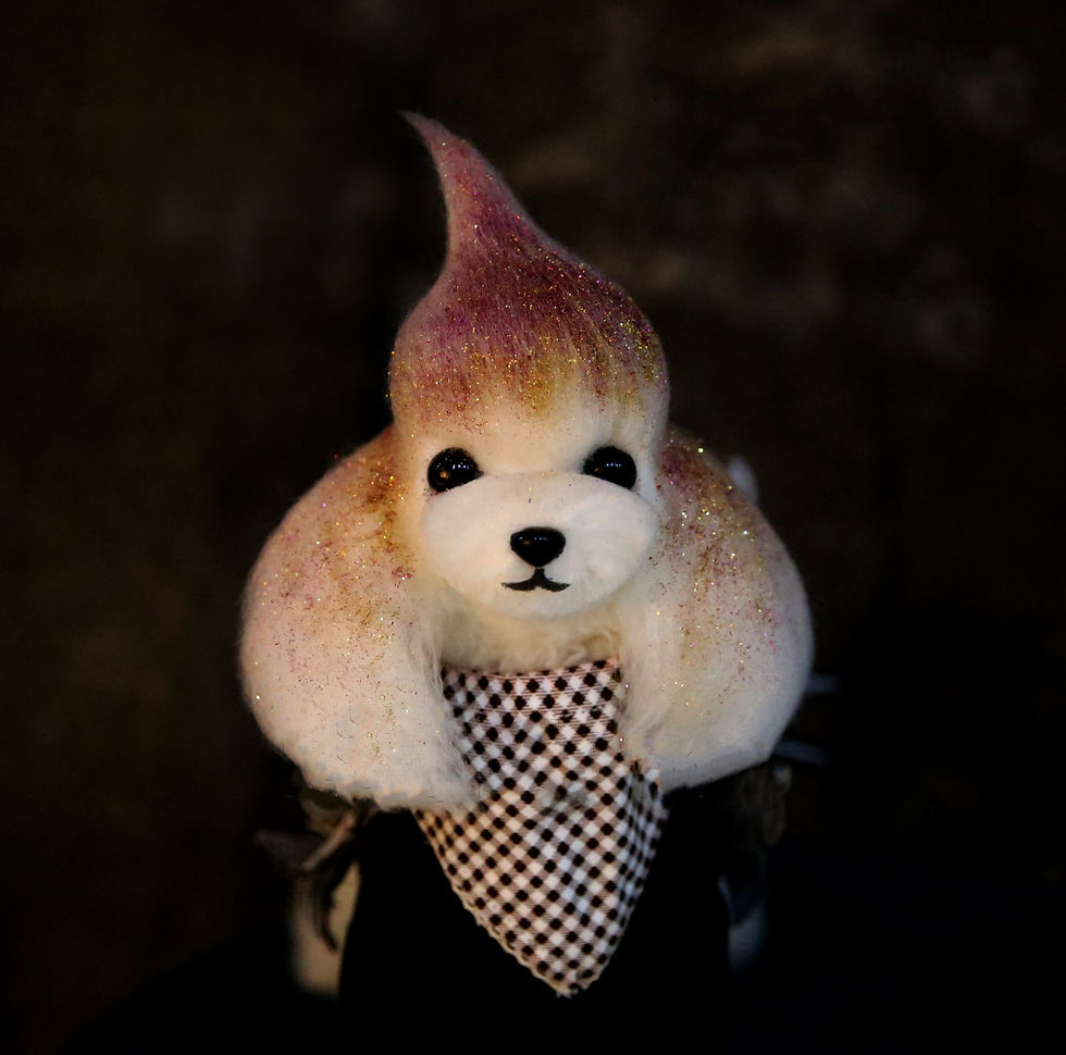 Thumbnail: Mr.Jiang Teddy Full Hair Model Dog