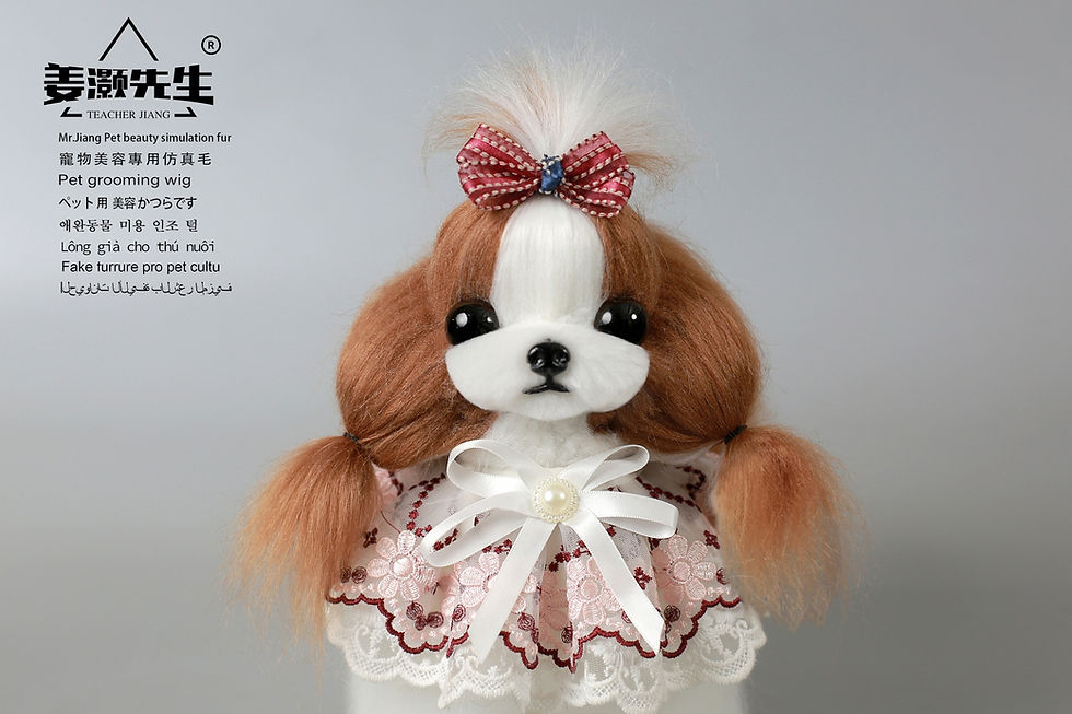 Mr.Jiang Model Dog Shihtzu Hair