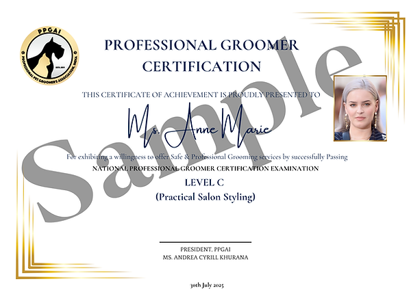 LEVEL C CERTIFICATES