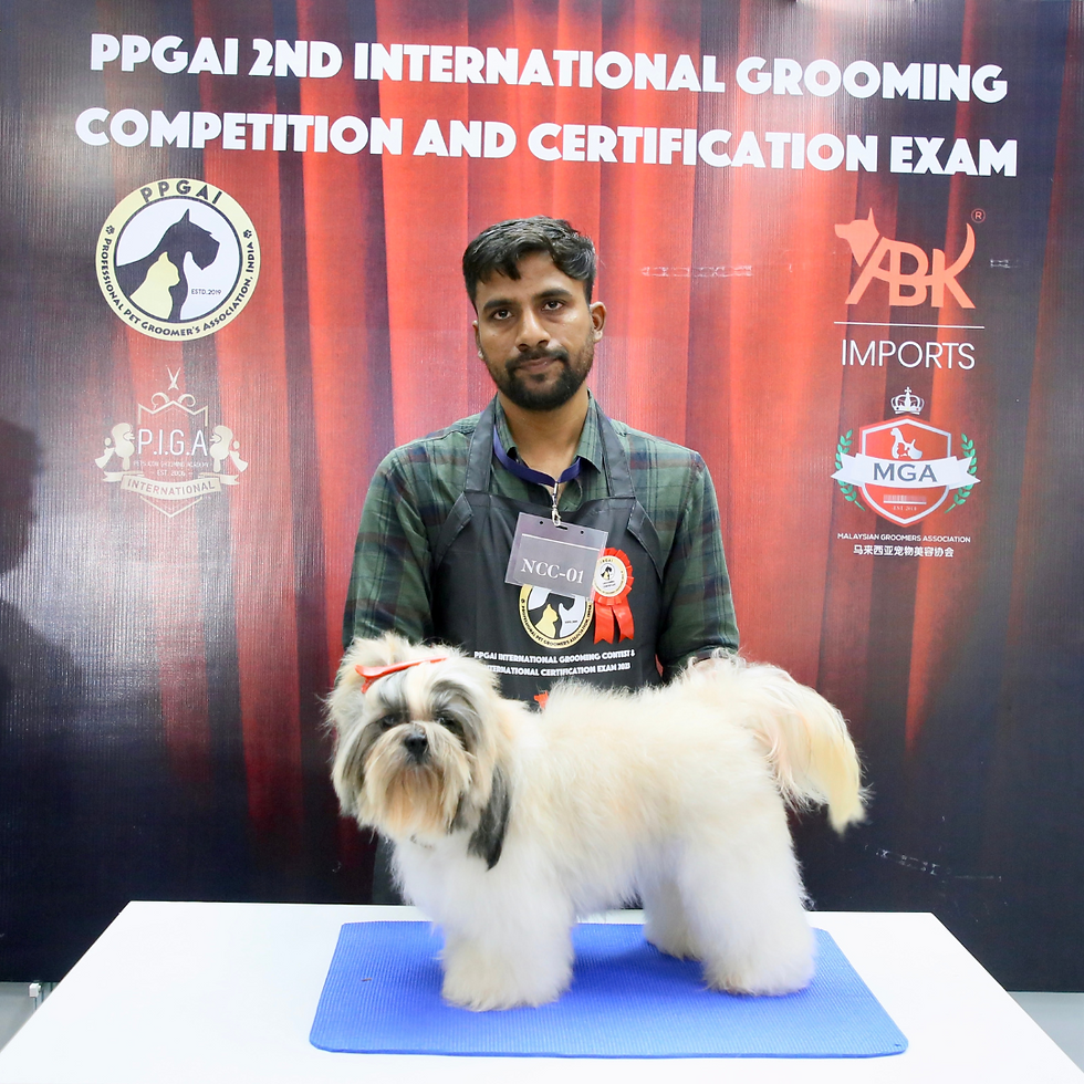 PPGAI 2nd Competition