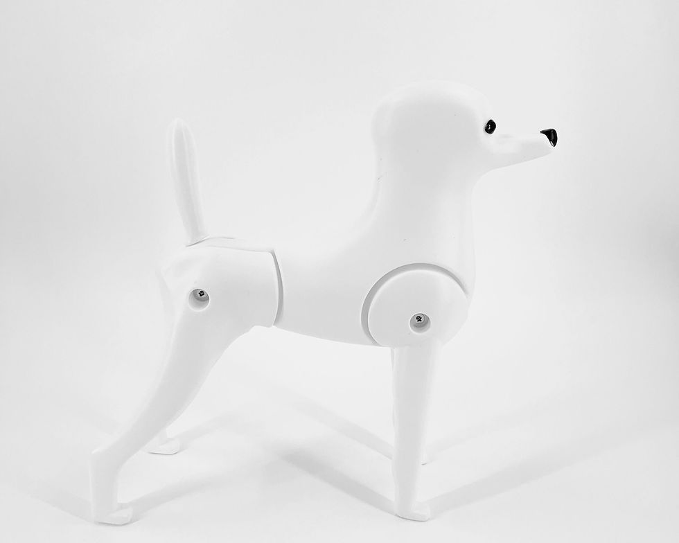 Mr.Jiang Model Dog Skeleton 