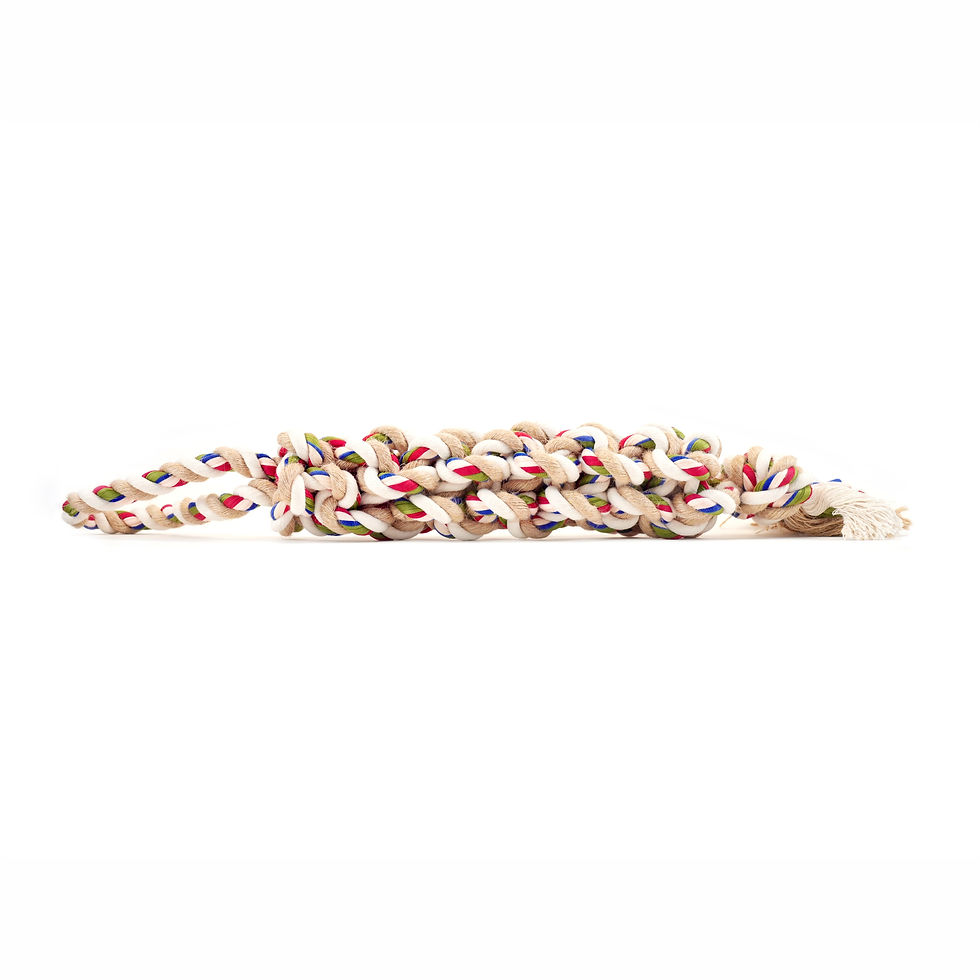 Thumbnail: FOFOS FLOSSY ROPE TOY BRAIDED
