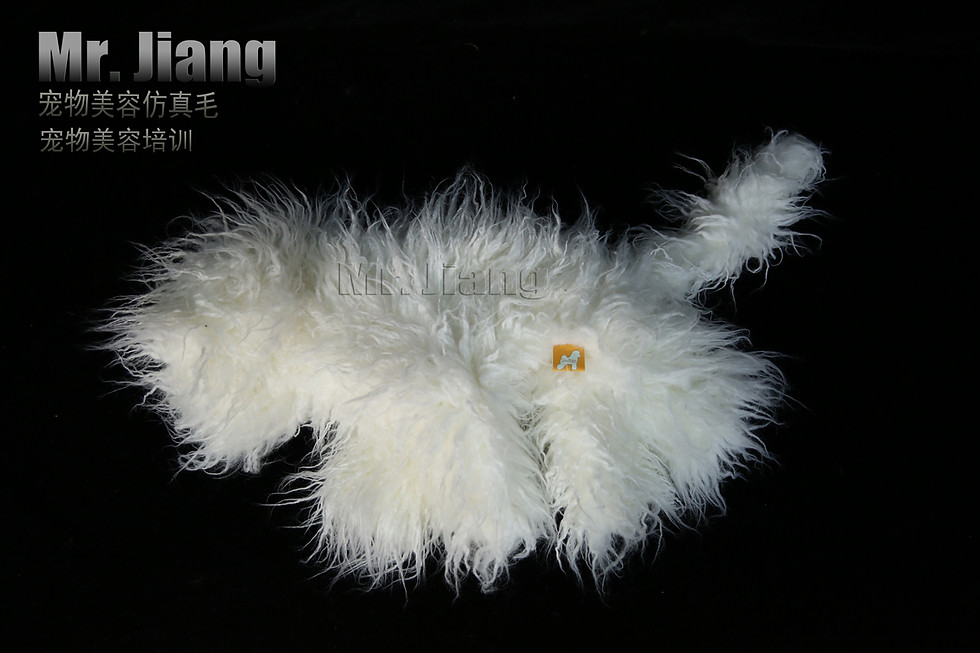 Thumbnail: Mr.Jiang Model Dog Bichon Hair 