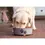 Thumbnail: Kennel Kitchen Chicken Chunks in Gravy Wet Dog Food - 80g