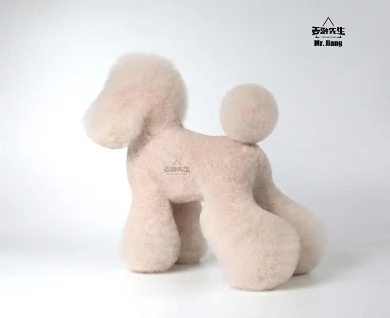 Thumbnail: Mr.Jiang Teddy Full Hair Model Dog