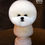 Thumbnail: Mr.Jiang Model Dog Bichon Head Hair 