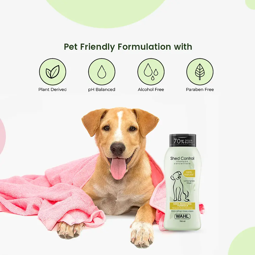 Thumbnail: Wahl Shed Control Lemongrass Sage Shampoo for Dogs