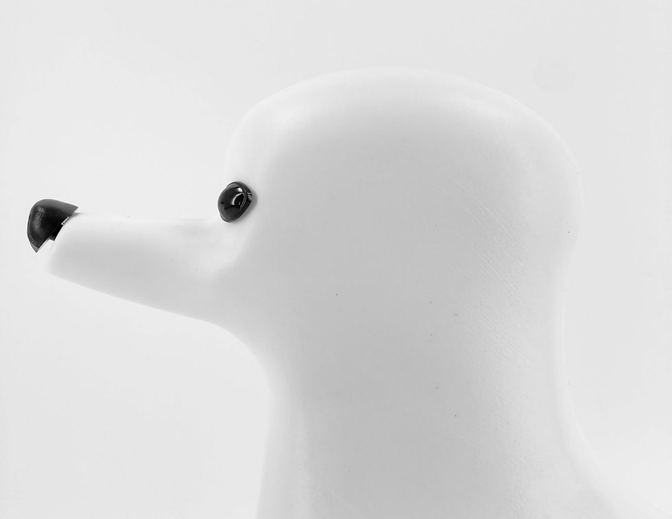 Thumbnail: Mr.Jiang Model Dog Skeleton 