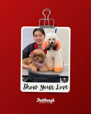Best Dog Grooming Near Me in Andheri | Petsburgh Pet Spa