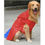 Thumbnail: Canes Venatici Raincoat - Dark Blue