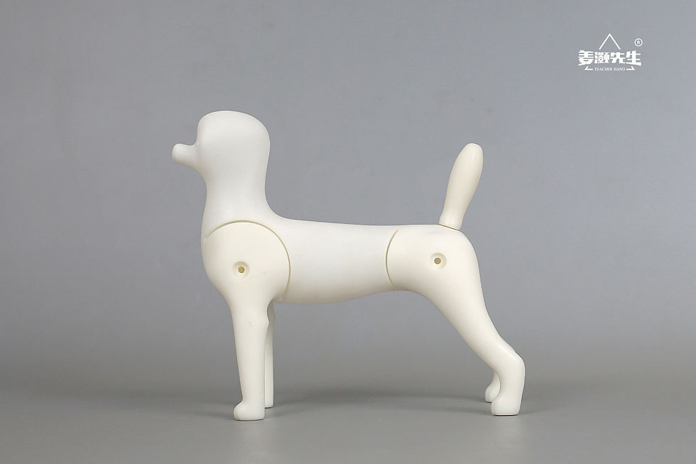 Thumbnail: Mr.Jiang Model Dog Skeleton 