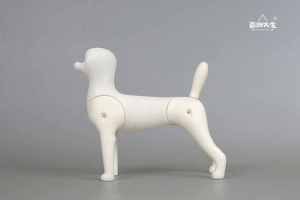 Thumbnail: Mr.Jiang Model Dog Skeleton 