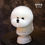 Thumbnail: Mr.Jiang Model Dog Bichon Head Hair 