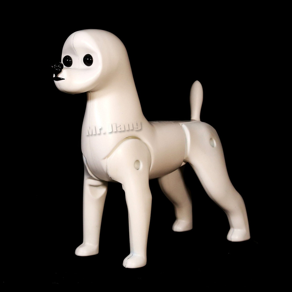 Mr.Jiang Model Dog Skeleton 