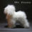 Thumbnail: Mr.Jiang Teddy Full Body Hair | White
