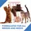 Thumbnail: Drools Dry Cat Adult Food Mackerel 3kg
