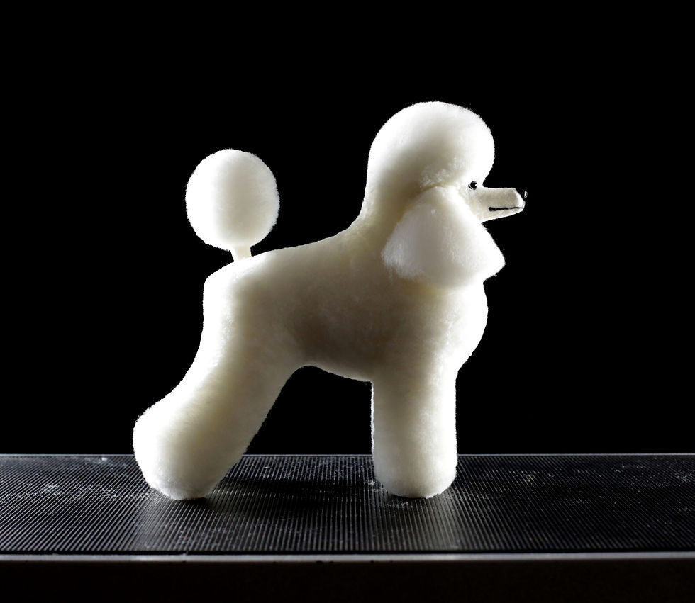 Thumbnail: Mr.Jiang Model Dog Toy Poodle Hair