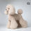 Thumbnail: Mr.Jiang Teddy Full Hair Model Dog
