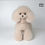 Thumbnail: Mr.Jiang Teddy Full Hair Model Dog