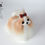 Thumbnail: Mr.Jiang Model Dog Shihtzu Hair