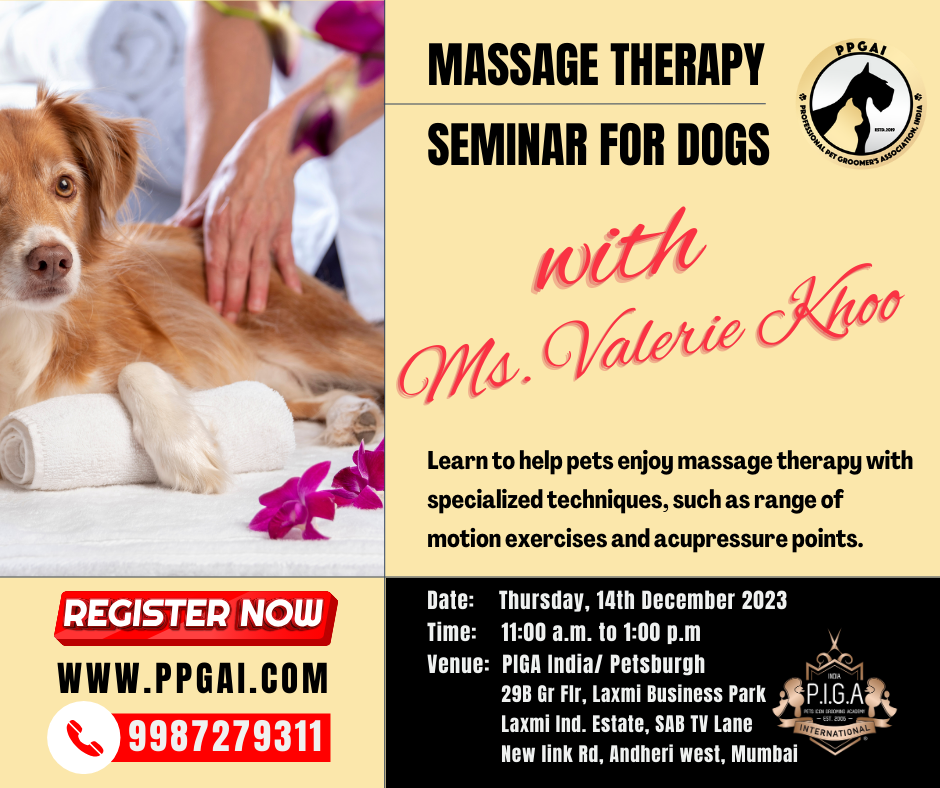 Pet Massage Therapy Seminar For Dogs