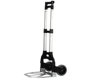 Heavy Duty Cart (Load 80kg / Foldable)